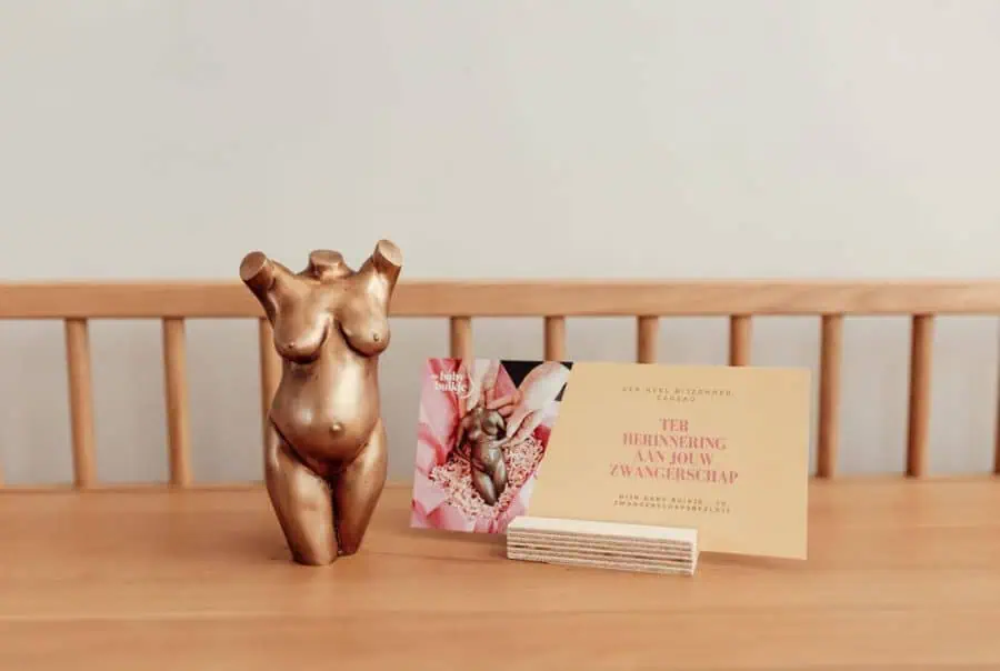 Cadeaubon Mijn Baby Buikje — herinnering in een roze doos